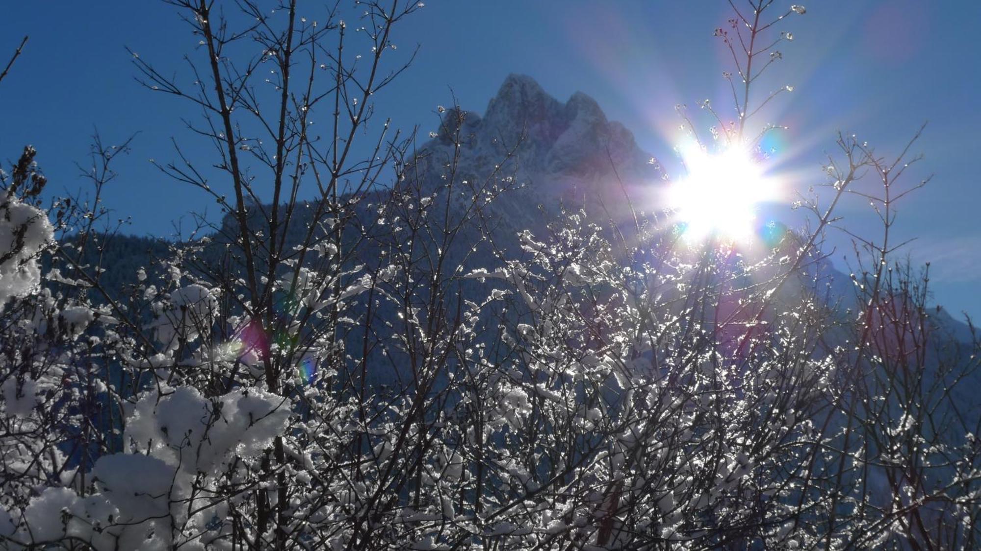 Villa Gemmy Pozza di Fassa Exterior foto